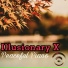 Illusionary X
