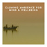 Wellbeing Relaxation Ambience Chill
