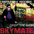 Skymate