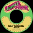 Banat Tamburitza Orchestra