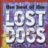 Lost Dogs