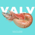 Valv