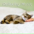 Relaxing Music, Massage Tribe