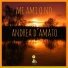 Andrea D'Amato