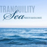 Sea Tranquility Academy