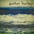 Carter Hulsey