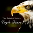 The Patriot Saints