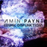 Amin PaYnE Extraordinary Feat. K