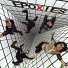 The Epoxies