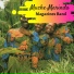 Magazines Band