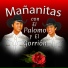 El Palomo y el Gorrión