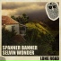 Spanner Banner, Selvin Wonder, Top Secret Music