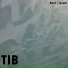 TIB