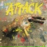 The Attack