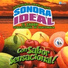 Marimba Orquesta Sonora Ideal