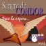 Sangre de Condor