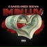 Cashlord Mess