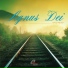Agnus Dei feat. Luiz Henrique