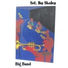 Sct. Ibs Skoles Big Band