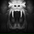 Owl Vision