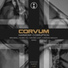 Corvum