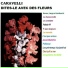 Caravelli