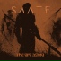 SAATE
