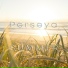 Perseya