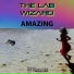 The Lab Wizard
