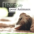 Therapie Animaux
