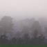 Sun Rain