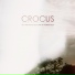Crocus