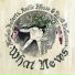 Alasdair Roberts, Amble Skuse and David McGuinness