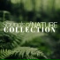 Nature Sounds Machine