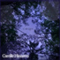 Camille Hirasawa