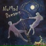 NoMad Dreams