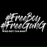 FreeBoy