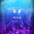 ZOT3