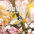 Relaxing Nature Sounds Collection