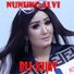 Nunung Alvi