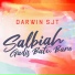 Darwin SJT
