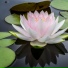Relaxing Music, Deep Sleep, Spa
