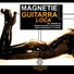 Magnetie