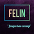 FELIN