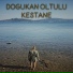 Doğukan Oltulu