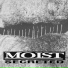 Moist