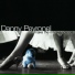 Danny Peyronel