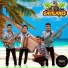 Conjunto Los Gavilanes Del Sur