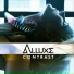 Alluxe feat. Salar System