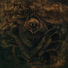 Murk Exorbitance